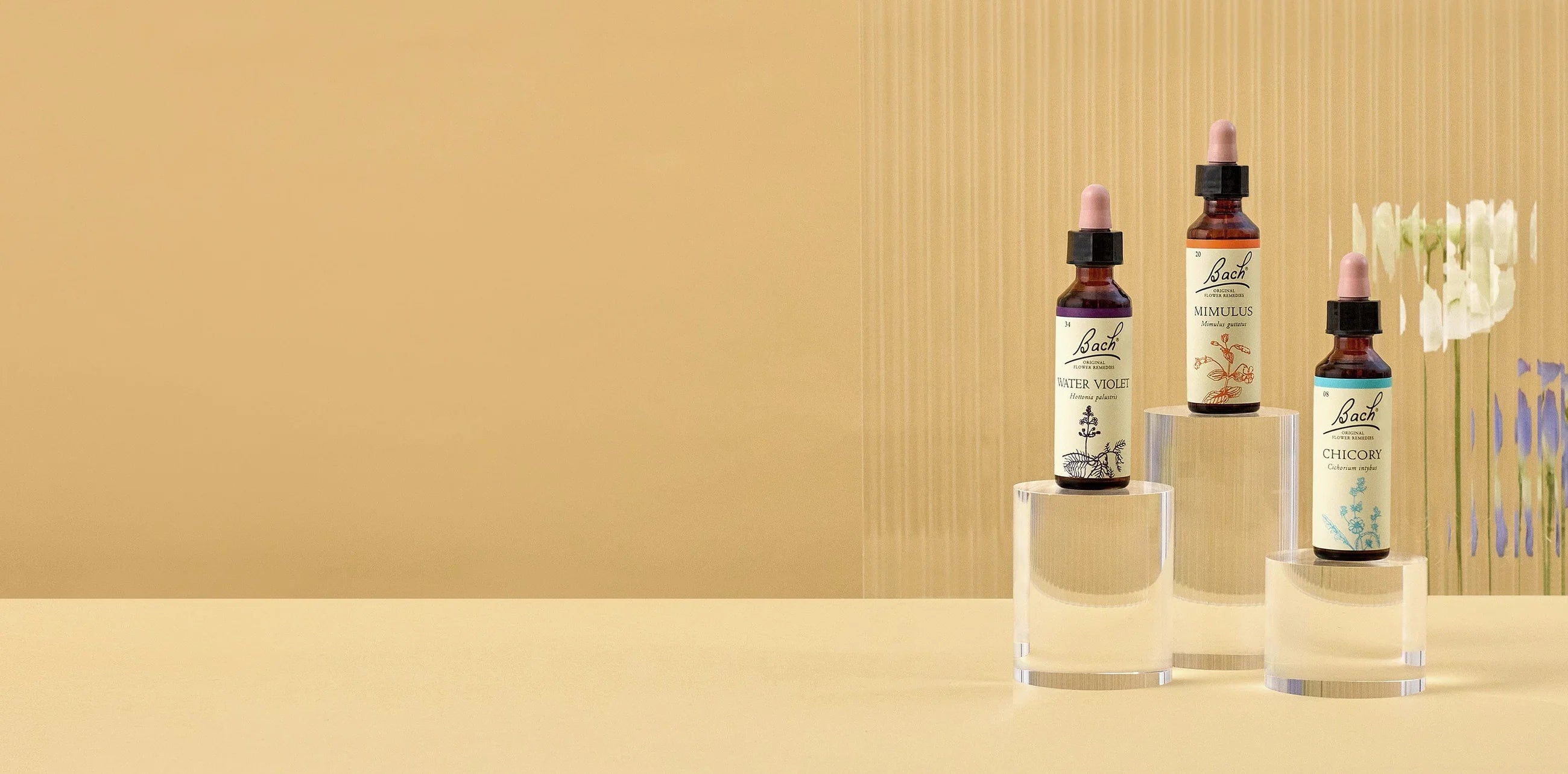 <p>Najdi rovnováhu emocí,<br/>naplň svůj <em>potenciál.</em></p>